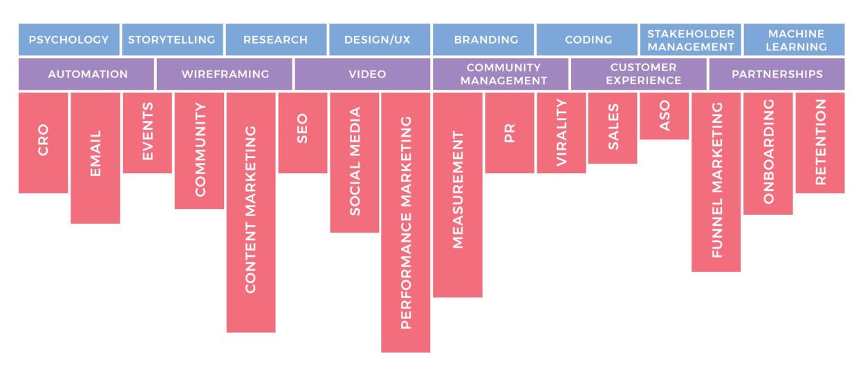 Enhancv Choosing a Marketing Career Path 