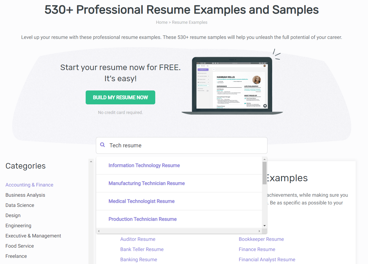 Enhancv How to Make a Resume That Stands Out in 2021: A Guide That Stands Out 