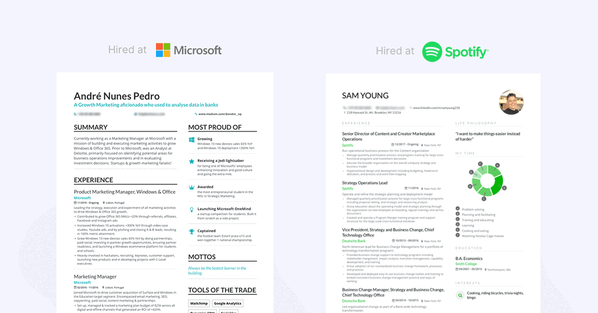 Enhancv Resume Styles: The Best Choice For Your Needs [20+ Tips And Examples] 