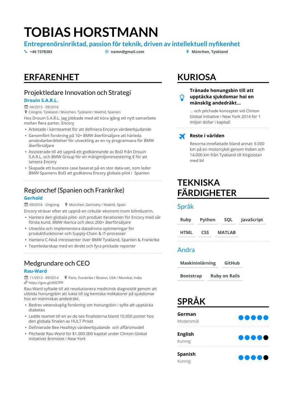 CV exempel på innovation och strategi